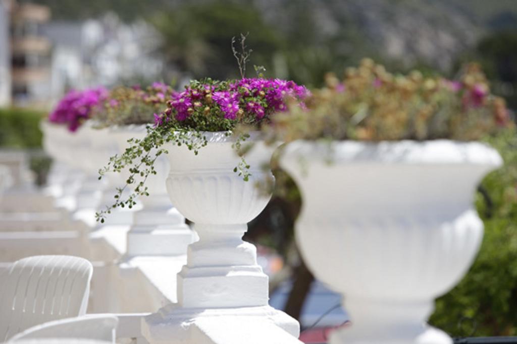 Hotel Miramar Mallorca Port de Pollença Zewnętrze zdjęcie